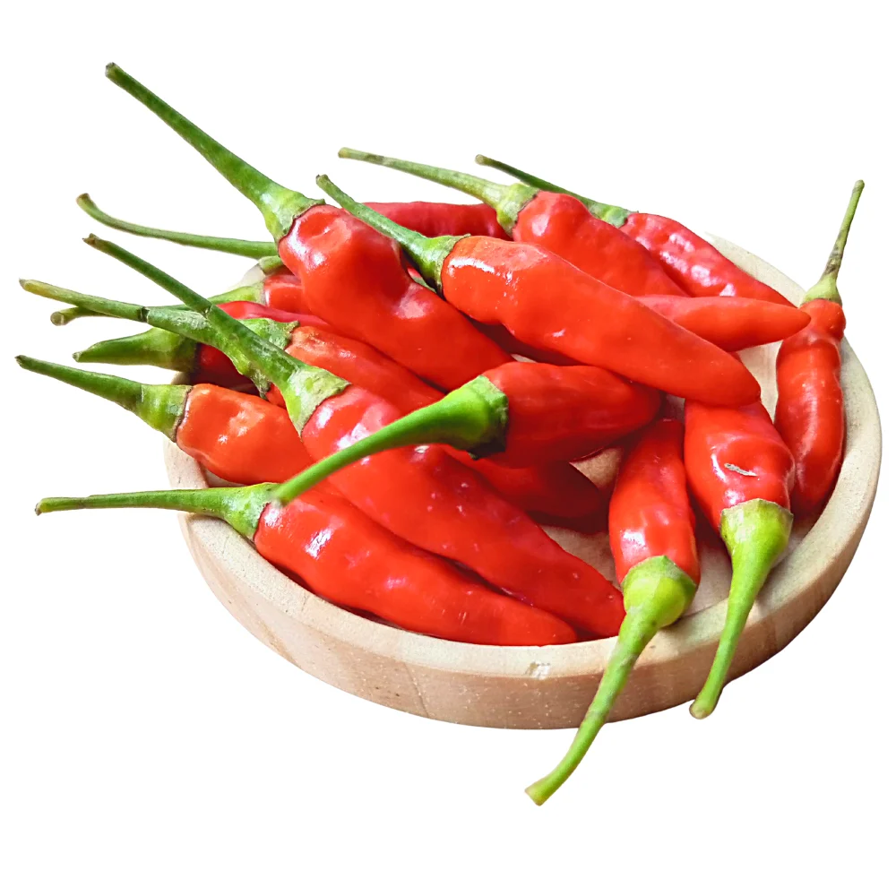 red clilli 0022